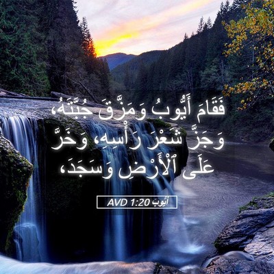 Picture 05 - أَيُّوبَ 1:20 AVD - فَقَامَ أَيُّوبُ - Bible Verse Picture