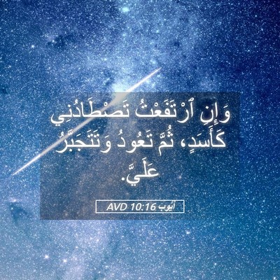 Picture 05 - أَيُّوبَ 10:16 AVD - وَإِنِ ٱرْتَفَعْتُ - Bible Verse Picture