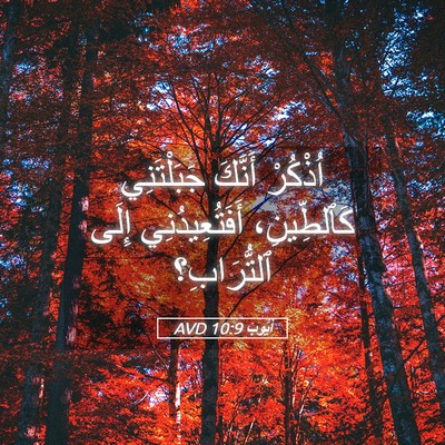Picture 05 - أَيُّوبَ 10:9 AVD - اُذْكُرْ أَنَّكَ - Bible Verse Picture