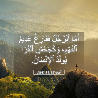 Picture 05 - أَيُّوبَ 11:12 AVD - أَمَّا ٱلرَّجُلُ - Bible Verse Picture
