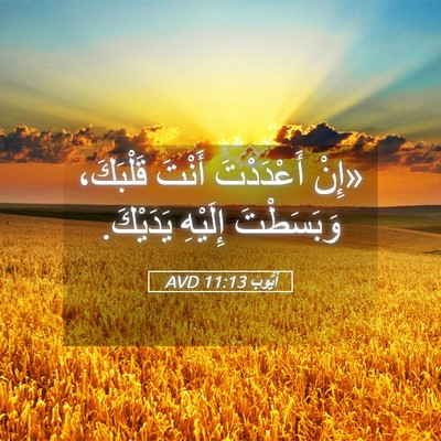 Picture 05 - أَيُّوبَ 11:13 AVD - «إِنْ أَعْدَدْتَ أَنْتَ - Bible Verse Picture