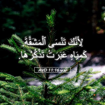 Picture 05 - أَيُّوبَ 11:16 AVD - لِأَنَّكَ تَنْسَى - Bible Verse Picture