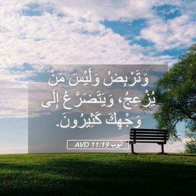 Picture 05 - أَيُّوبَ 11:19 AVD - وَتَرْبِضُ وَلَيْسَ مَنْ - Bible Verse Picture