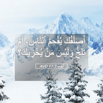 Picture 05 - أَيُّوبَ 11:3 AVD - أَصَلَفُكَ يُفْحِمُ - Bible Verse Picture