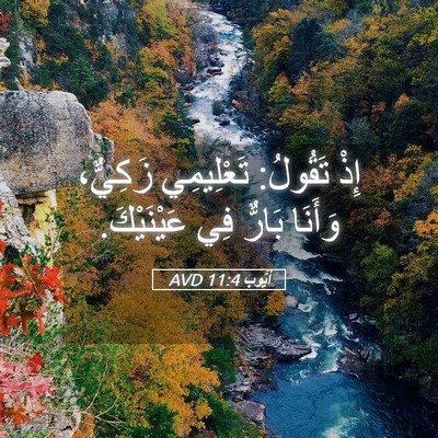 Picture 05 - أَيُّوبَ 11:4 AVD - إِذْ تَقُولُ: تَعْلِيمِي - Bible Verse Picture