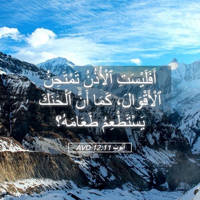 Picture 05 - أَيُّوبَ 12:11 AVD - أَفَلَيْسَتِ ٱلْأُذُنُ - Bible Verse Picture