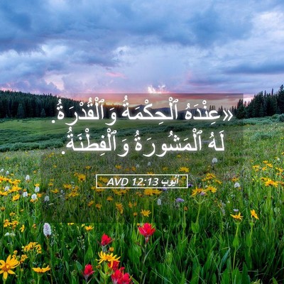 Picture 05 - أَيُّوبَ 12:13 AVD - «عِنْدَهُ ٱلْحِكْمَةُ - Bible Verse Picture