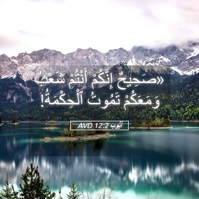 Picture 05 - أَيُّوبَ 12:2 AVD - «صَحِيحٌ إِنَّكُمْ - Bible Verse Picture
