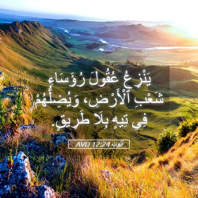 Picture 05 - أَيُّوبَ 12:24 AVD - يَنْزِعُ عُقُولَ - Bible Verse Picture