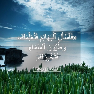 Picture 05 - أَيُّوبَ 12:7 AVD - «فَٱسْأَلِ ٱلْبَهَائِمَ - Bible Verse Picture