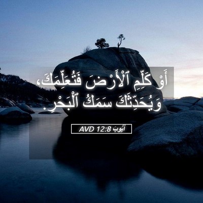 Picture 05 - أَيُّوبَ 12:8 AVD - أَوْ كَلِّمِ ٱلْأَرْضَ - Bible Verse Picture