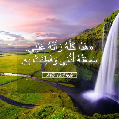 Picture 05 - أَيُّوبَ 13:1 AVD - «هَذَا كُلُّهُ رَأَتْهُ - Bible Verse Picture