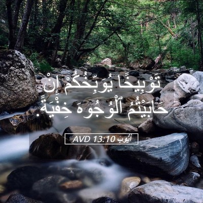 Picture 05 - أَيُّوبَ 13:10 AVD - تَوْبِيخًا يُوَبِّخُكُمْ - Bible Verse Picture