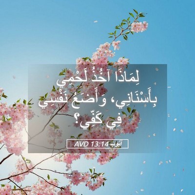 Picture 05 - أَيُّوبَ 13:14 AVD - لِمَاذَا آخُذُ لَحْمِي - Bible Verse Picture