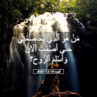 Picture 05 - أَيُّوبَ 13:19 AVD - مَنْ هُوَ ٱلَّذِي - Bible Verse Picture