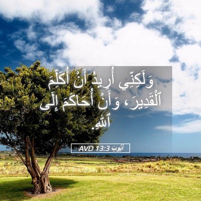 Picture 05 - أَيُّوبَ 13:3 AVD - وَلَكِنِّي أُرِيدُ أَنْ - Bible Verse Picture