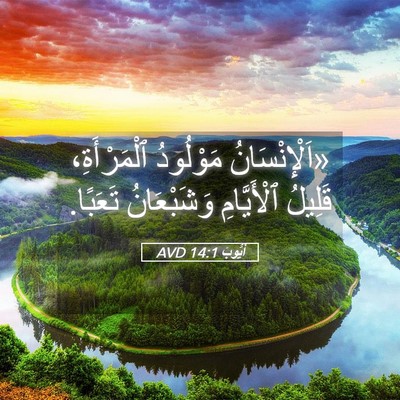 Picture 05 - أَيُّوبَ 14:1 AVD - «اَلْإِنْسَانُ مَوْلُودُ - Bible Verse Picture