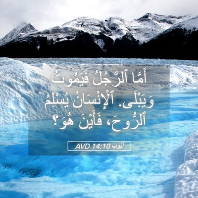 Picture 05 - أَيُّوبَ 14:10 AVD - أَمَّا ٱلرَّجُلُ - Bible Verse Picture