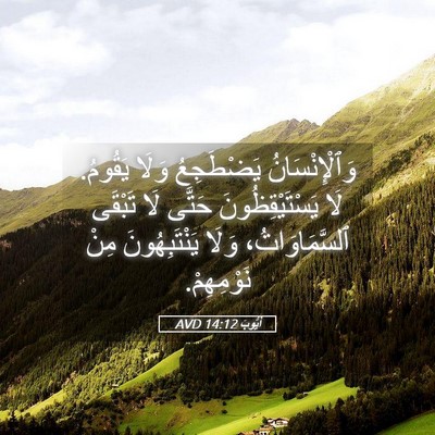 Picture 05 - أَيُّوبَ 14:12 AVD - وَٱلْإِنْسَانُ يَضْطَجِعُ - Bible Verse Picture