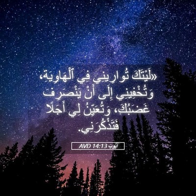 Picture 05 - أَيُّوبَ 14:13 AVD - «لَيْتَكَ تُوارِينِي فِي - Bible Verse Picture