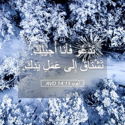 Picture 05 - أَيُّوبَ 14:15 AVD - تَدْعُو فَأَنَا أُجِيبُكَ. - Bible Verse Picture
