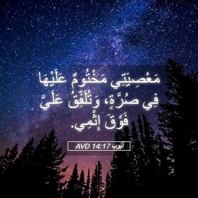 Picture 05 - أَيُّوبَ 14:17 AVD - مَعْصِيَتِي مَخْتُومٌ - Bible Verse Picture