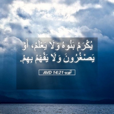 Picture 05 - أَيُّوبَ 14:21 AVD - يُكْرَمُ بَنُوهُ وَلَا - Bible Verse Picture