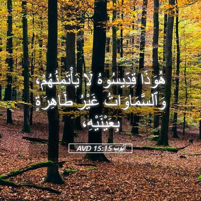 Picture 05 - أَيُّوبَ 15:15 AVD - هُوَذَا قِدِّيسُوهُ لَا - Bible Verse Picture