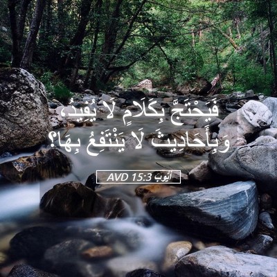 Picture 05 - أَيُّوبَ 15:3 AVD - فَيَحْتَجَّ بِكَلَامٍ لَا - Bible Verse Picture