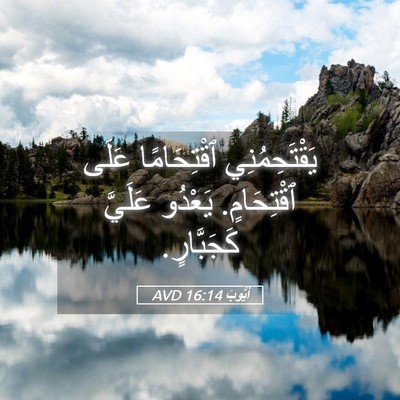 Picture 05 - أَيُّوبَ 16:14 AVD - يَقْتَحِمُنِي ٱقْتِحَامًا - Bible Verse Picture