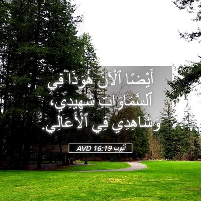 Picture 05 - أَيُّوبَ 16:19 AVD - أَيْضًا ٱلْآنَ هُوَذَا فِي - Bible Verse Picture