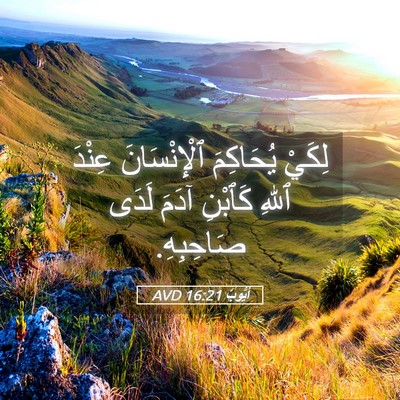 Picture 05 - أَيُّوبَ 16:21 AVD - لِكَيْ يُحَاكِمَ - Bible Verse Picture