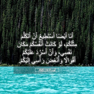 Picture 05 - أَيُّوبَ 16:4 AVD - أَنَا أَيْضًا أَسْتَطِيعُ - Bible Verse Picture