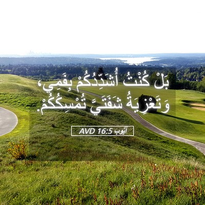 Picture 05 - أَيُّوبَ 16:5 AVD - بَلْ كُنْتُ أُشَدِّدُكُمْ - Bible Verse Picture