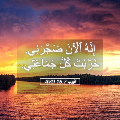 Picture 05 - أَيُّوبَ 16:7 AVD - إِنَّهُ ٱلْآنَ ضَجَّرَنِي. - Bible Verse Picture