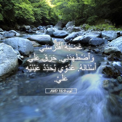 Picture 05 - أَيُّوبَ 16:9 AVD - غَضَبُهُ ٱفْتَرَسَنِي - Bible Verse Picture