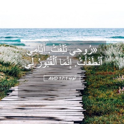 Picture 05 - أَيُّوبَ 17:1 AVD - «رُوحِي تَلِفَتْ. - Bible Verse Picture
