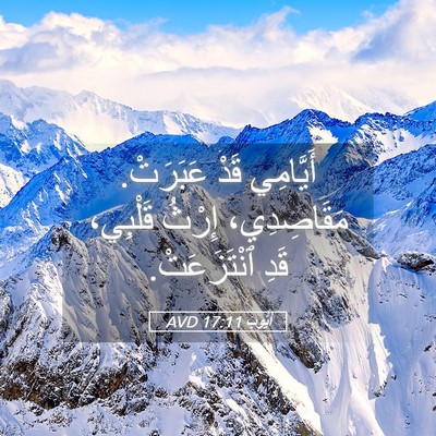 Picture 05 - أَيُّوبَ 17:11 AVD - أَيَّامِي قَدْ عَبَرَتْ. - Bible Verse Picture