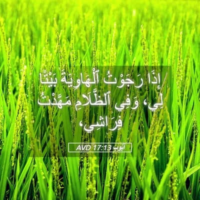 Picture 05 - أَيُّوبَ 17:13 AVD - إِذَا رَجَوْتُ - Bible Verse Picture