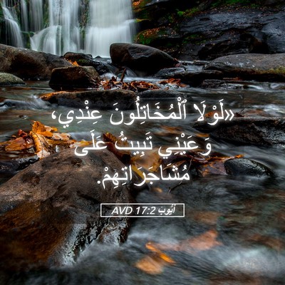 Picture 05 - أَيُّوبَ 17:2 AVD - «لَوْلَا ٱلْمُخَاتِلُونَ - Bible Verse Picture