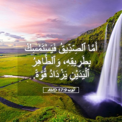 Picture 05 - أَيُّوبَ 17:9 AVD - أَمَّا ٱلصِّدِّيقُ - Bible Verse Picture