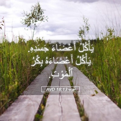 Picture 05 - أَيُّوبَ 18:13 AVD - يَأْكُلُ أَعْضَاءَ - Bible Verse Picture