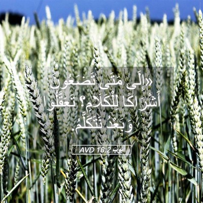 Picture 05 - أَيُّوبَ 18:2 AVD - «إِلَى مَتَى تَضَعُونَ - Bible Verse Picture