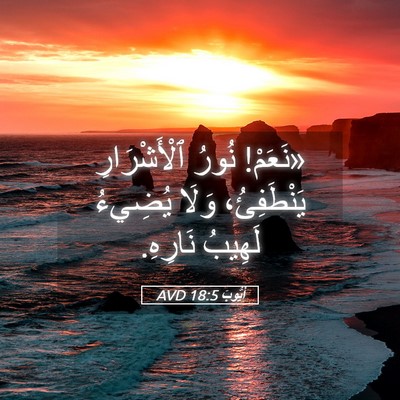 Picture 05 - أَيُّوبَ 18:5 AVD - «نَعَمْ! نُورُ - Bible Verse Picture