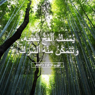 Picture 05 - أَيُّوبَ 18:9 AVD - يُمْسِكُ ٱلْفَخُّ - Bible Verse Picture