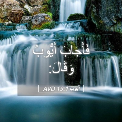 Picture 05 - أَيُّوبَ 19:1 AVD - فَأَجَابَ أَيُّوبُ - Bible Verse Picture