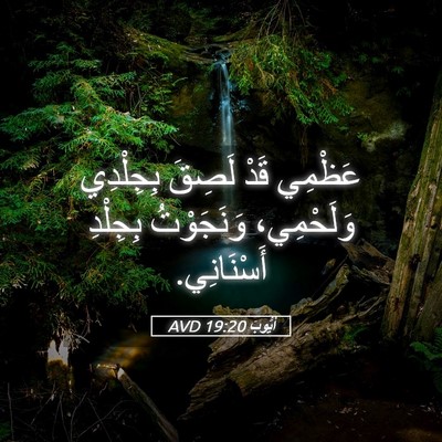 Picture 05 - أَيُّوبَ 19:20 AVD - عَظْمِي قَدْ لَصِقَ - Bible Verse Picture
