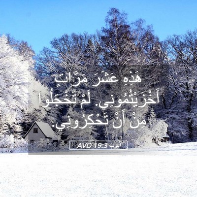 Picture 05 - أَيُّوبَ 19:3 AVD - هَذِهِ عَشَرَ مَرَّاتٍ - Bible Verse Picture