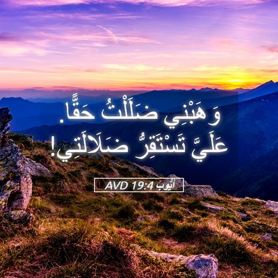 Picture 05 - أَيُّوبَ 19:4 AVD - وَهَبْنِي ضَلَلْتُ حَقًّا. - Bible Verse Picture