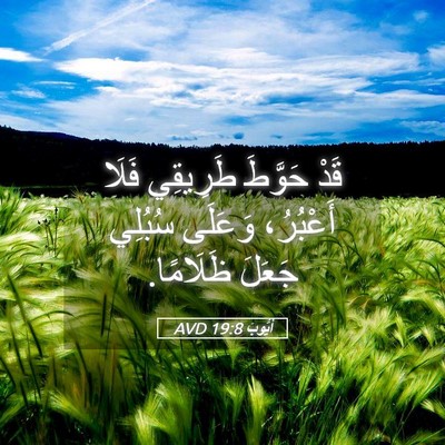 Picture 05 - أَيُّوبَ 19:8 AVD - قَدْ حَوَّطَ طَرِيقِي - Bible Verse Picture